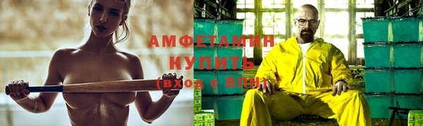 стаф Белокуриха