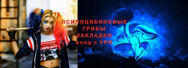 стаф Белокуриха